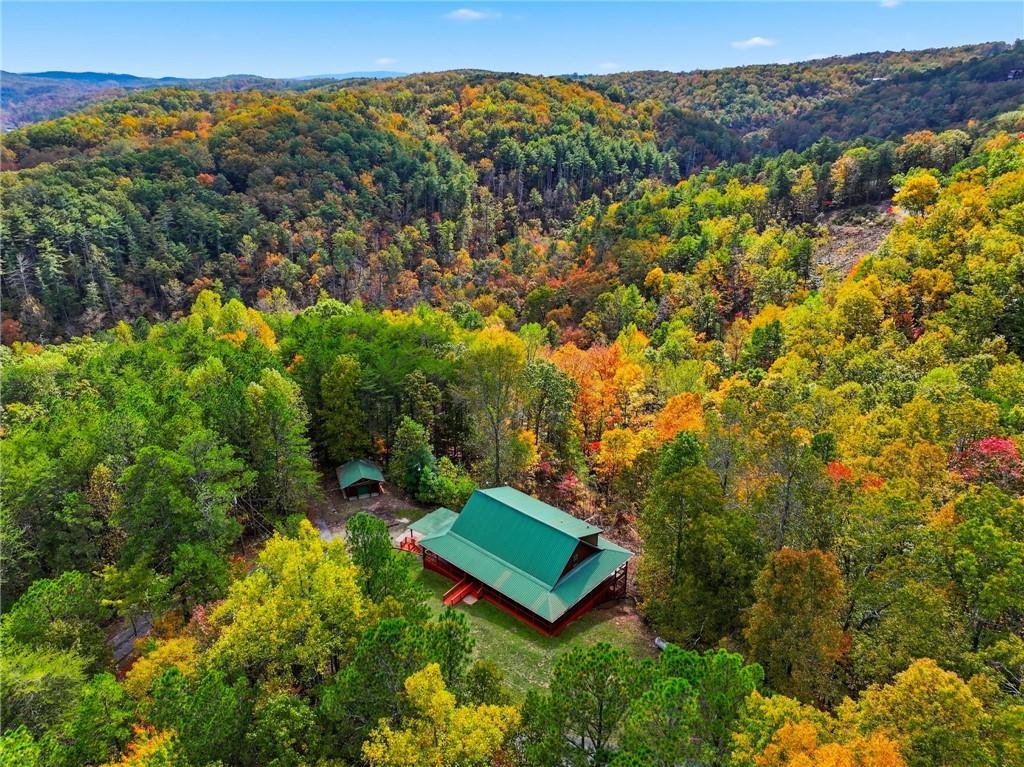 1384 Crystal Lane Northeast Ranger, GA 30734 - Photo 53 of 53 a view of a backyard with plants and mountain