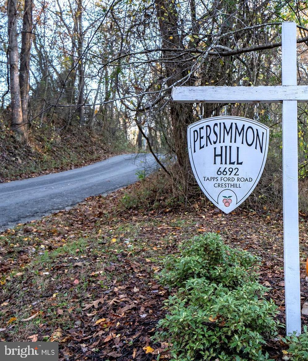 6692 Tapps Ford Road Amissville, VA 20106 - Photo 3 of 37 Welcome to Persimmon Hill!