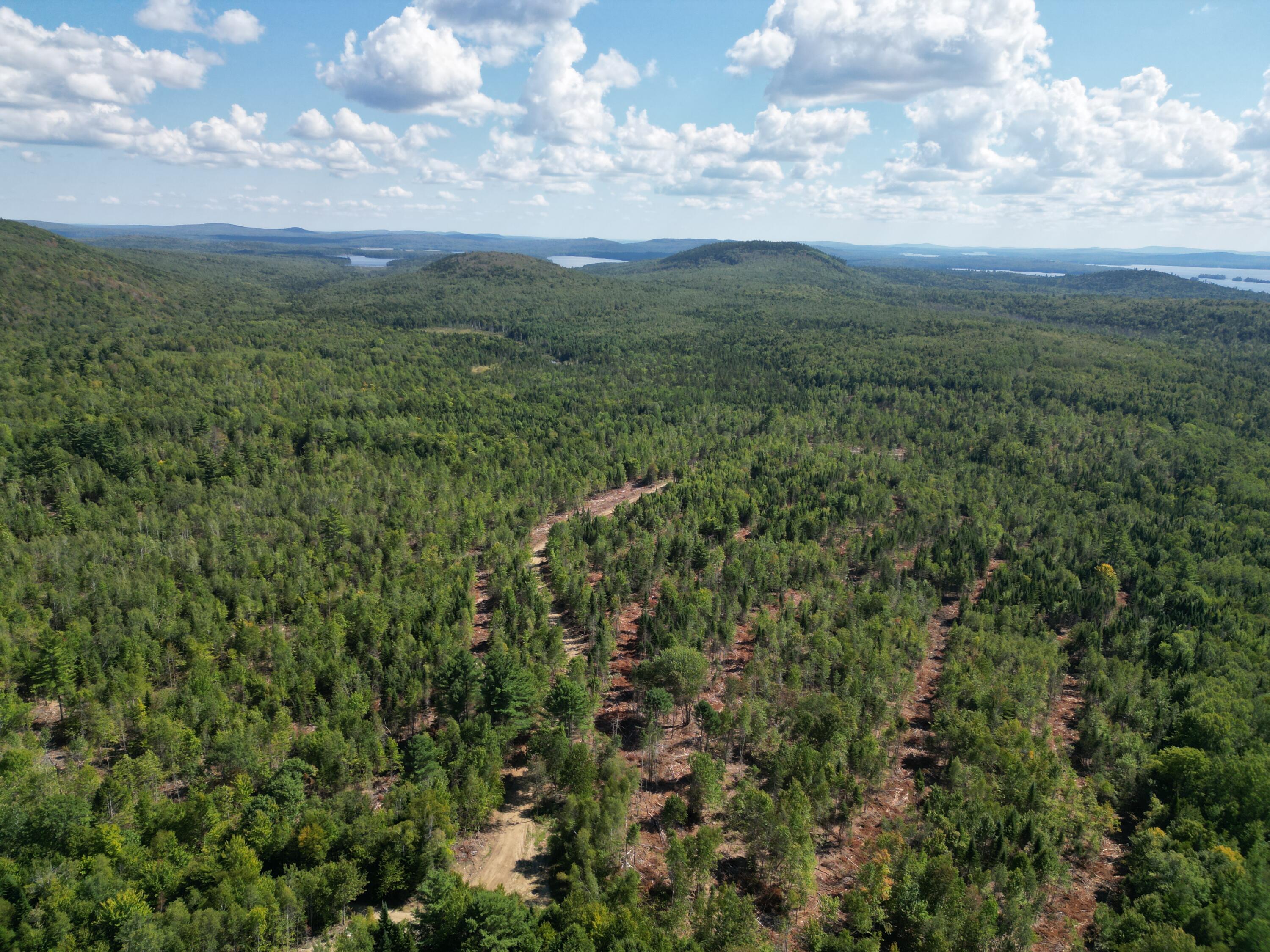 Off Getchell Mountain Road Carroll Plt, ME 04487 - Photo 22 of 23 DJI_0457