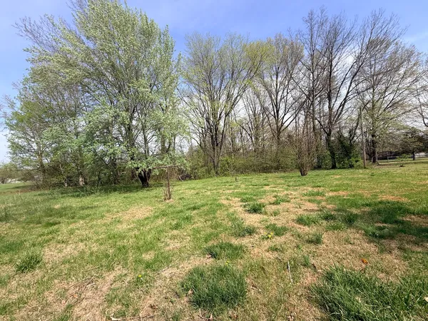 a view of a field with trees