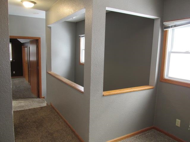 847 West Chestnut Street Freeport, IL 61032 - Photo 13 of 17