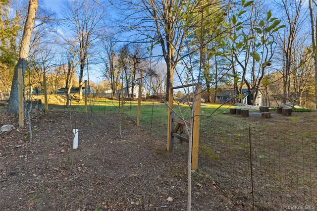 a view of park with tree