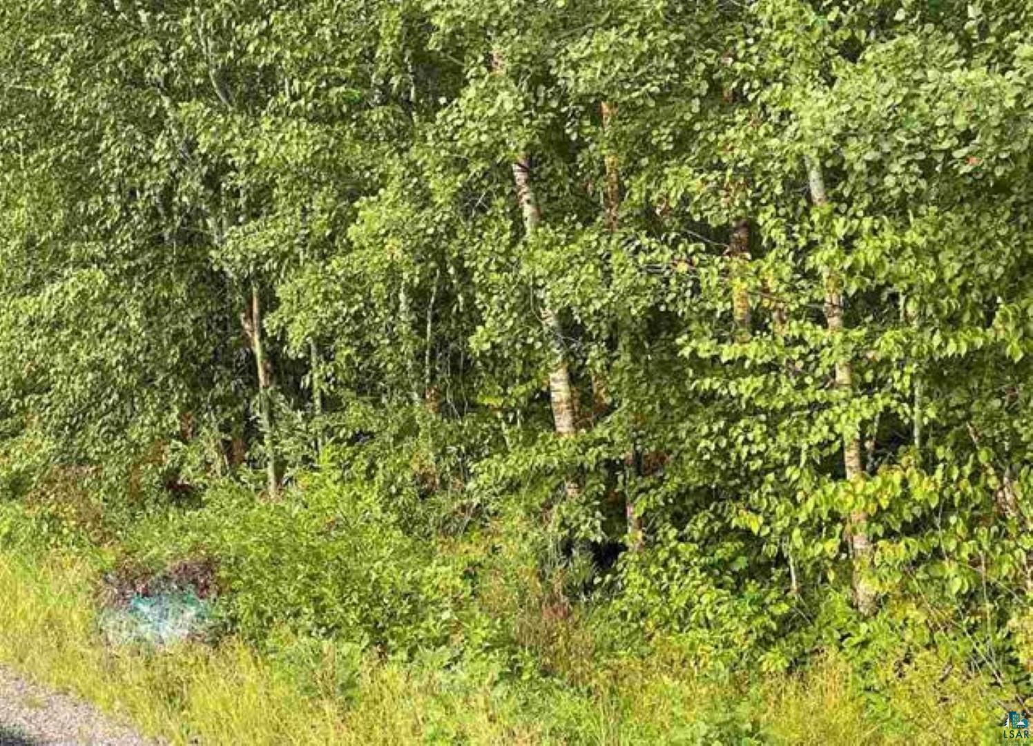 Tbd Rainey Road Hibbing, MN 55746 - Photo 11 of 32