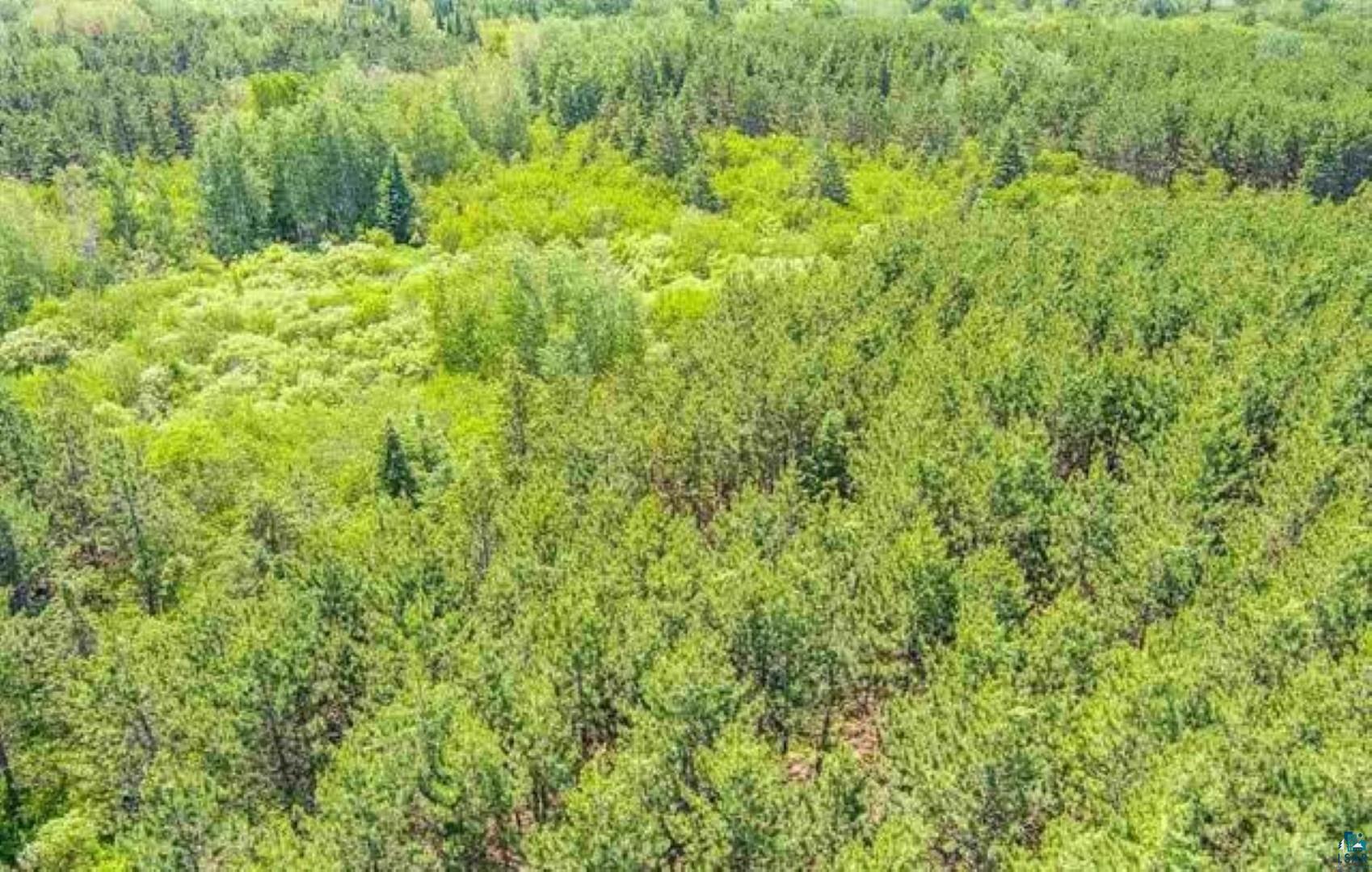 Tbd Rainey Road Hibbing, MN 55746 - Photo 14 of 32