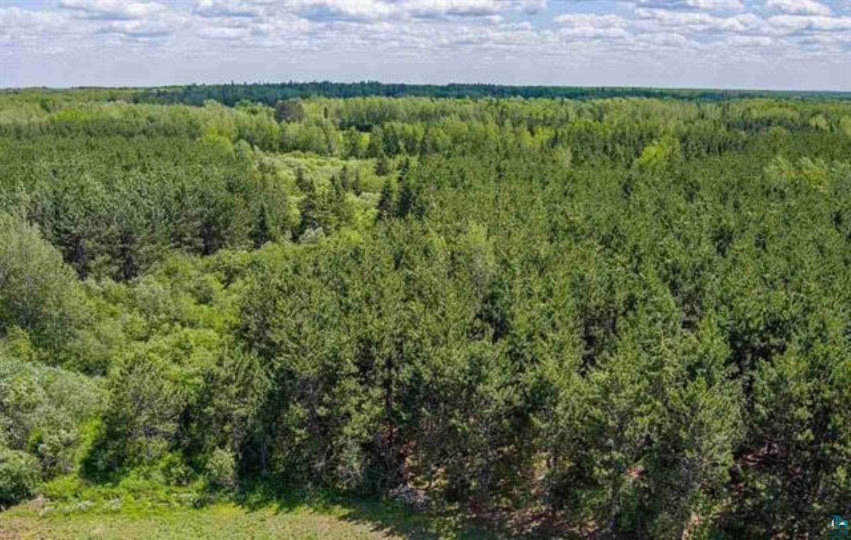 Tbd Rainey Road Hibbing, MN 55746 - Photo 15 of 32