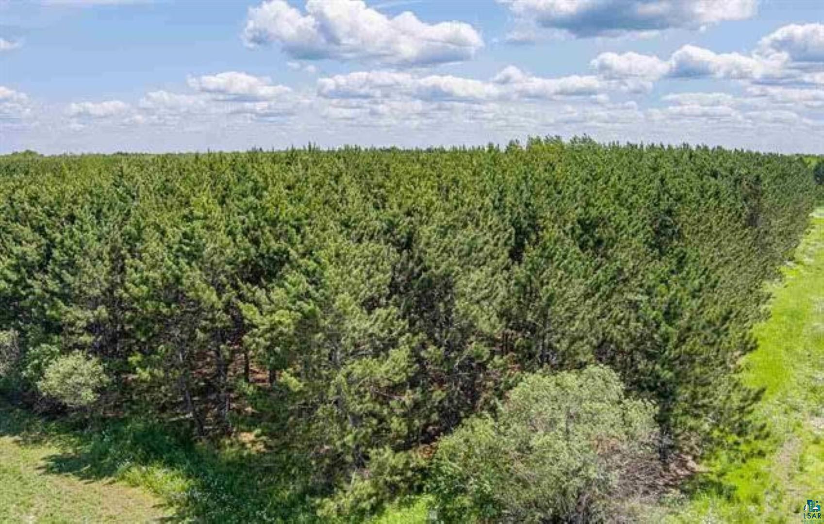 Tbd Rainey Road Hibbing, MN 55746 - Photo 16 of 32