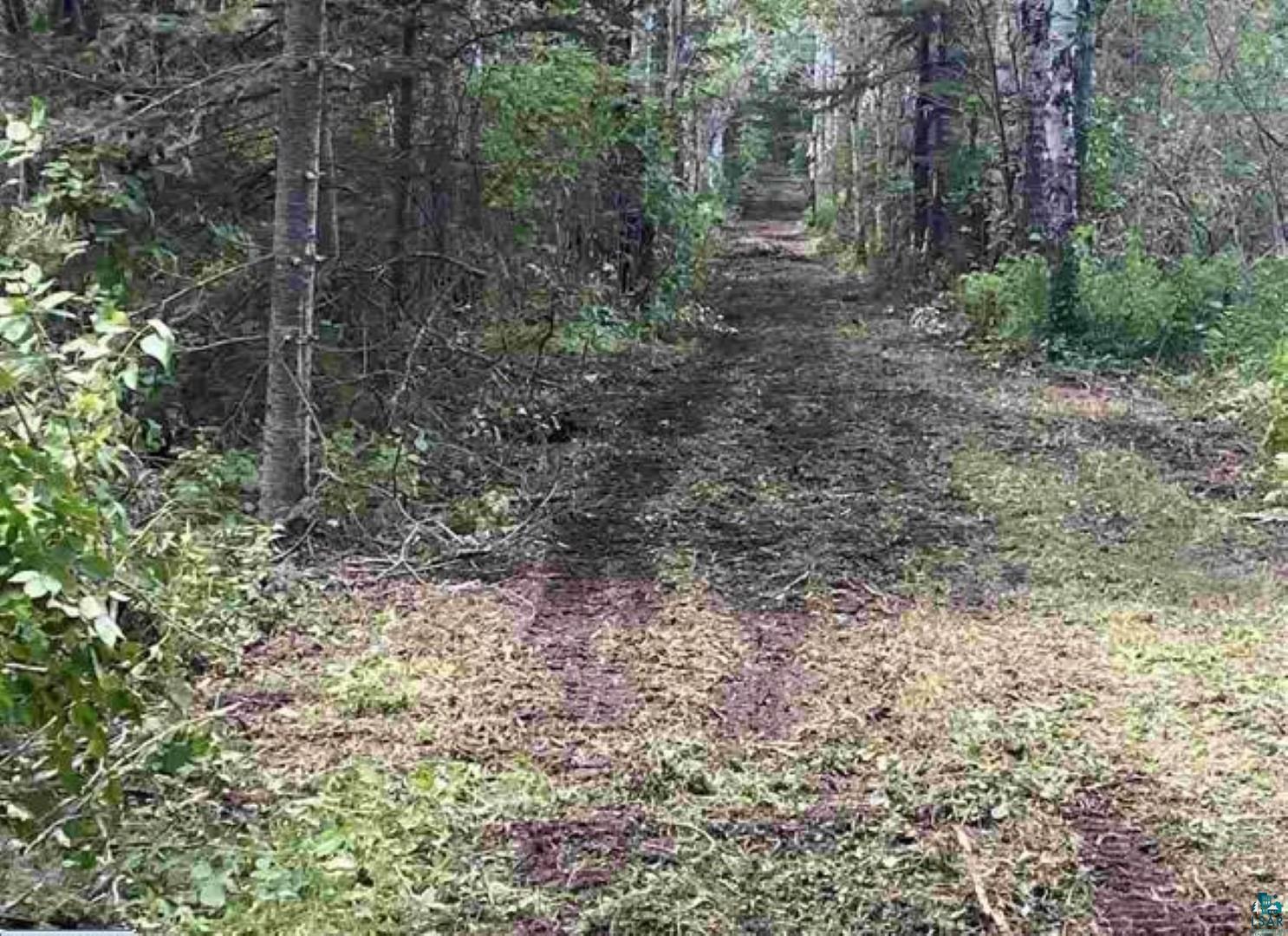 Tbd Rainey Road Hibbing, MN 55746 - Photo 19 of 32