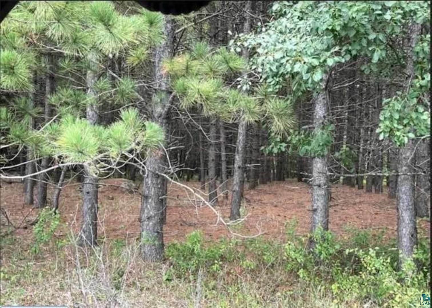 Tbd Rainey Road Hibbing, MN 55746 - Photo 20 of 32