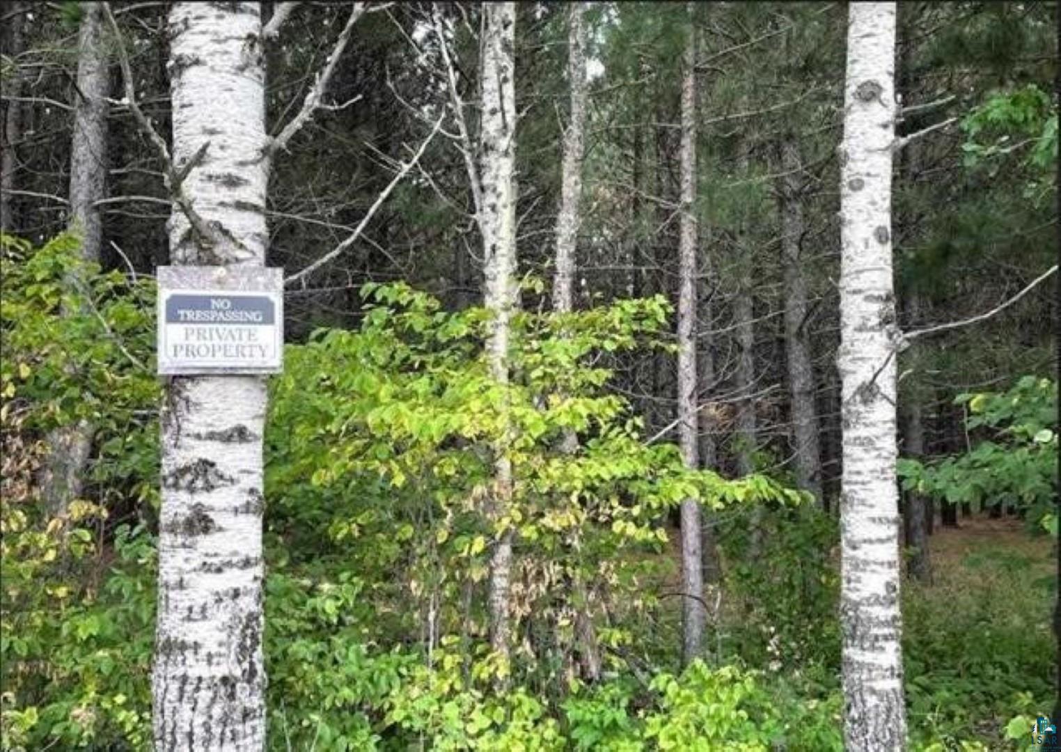 Tbd Rainey Road Hibbing, MN 55746 - Photo 21 of 32