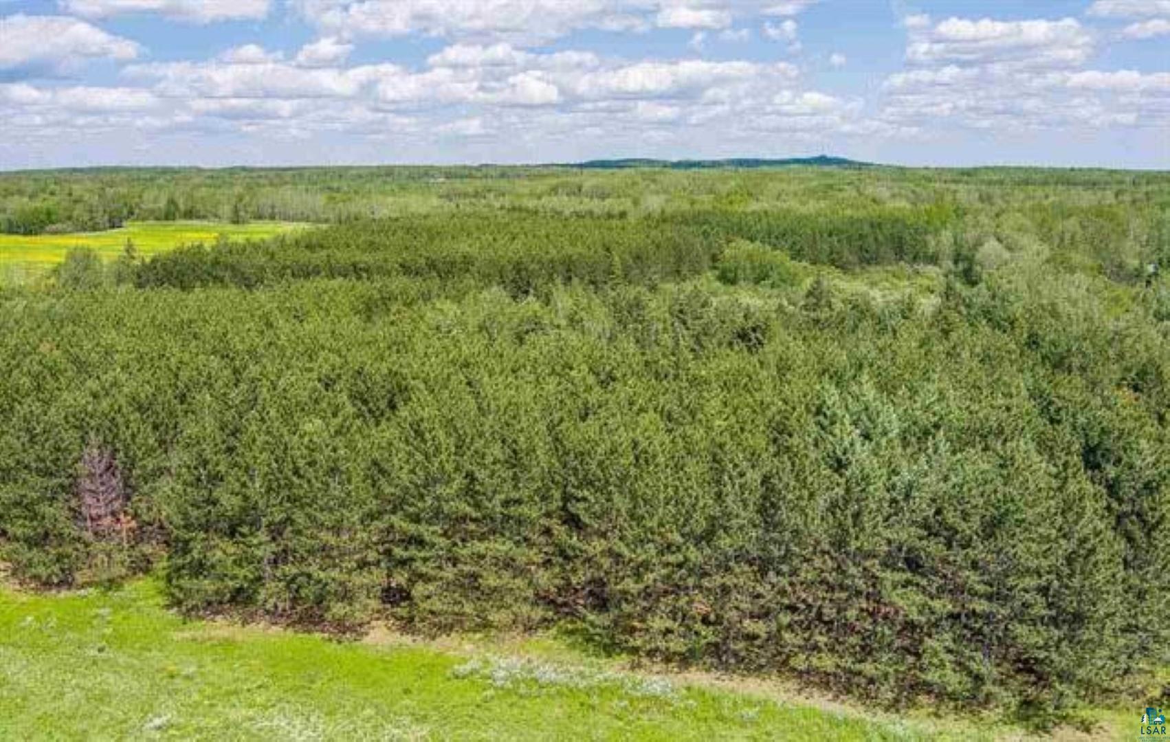 Tbd Rainey Road Hibbing, MN 55746 - Photo 25 of 32