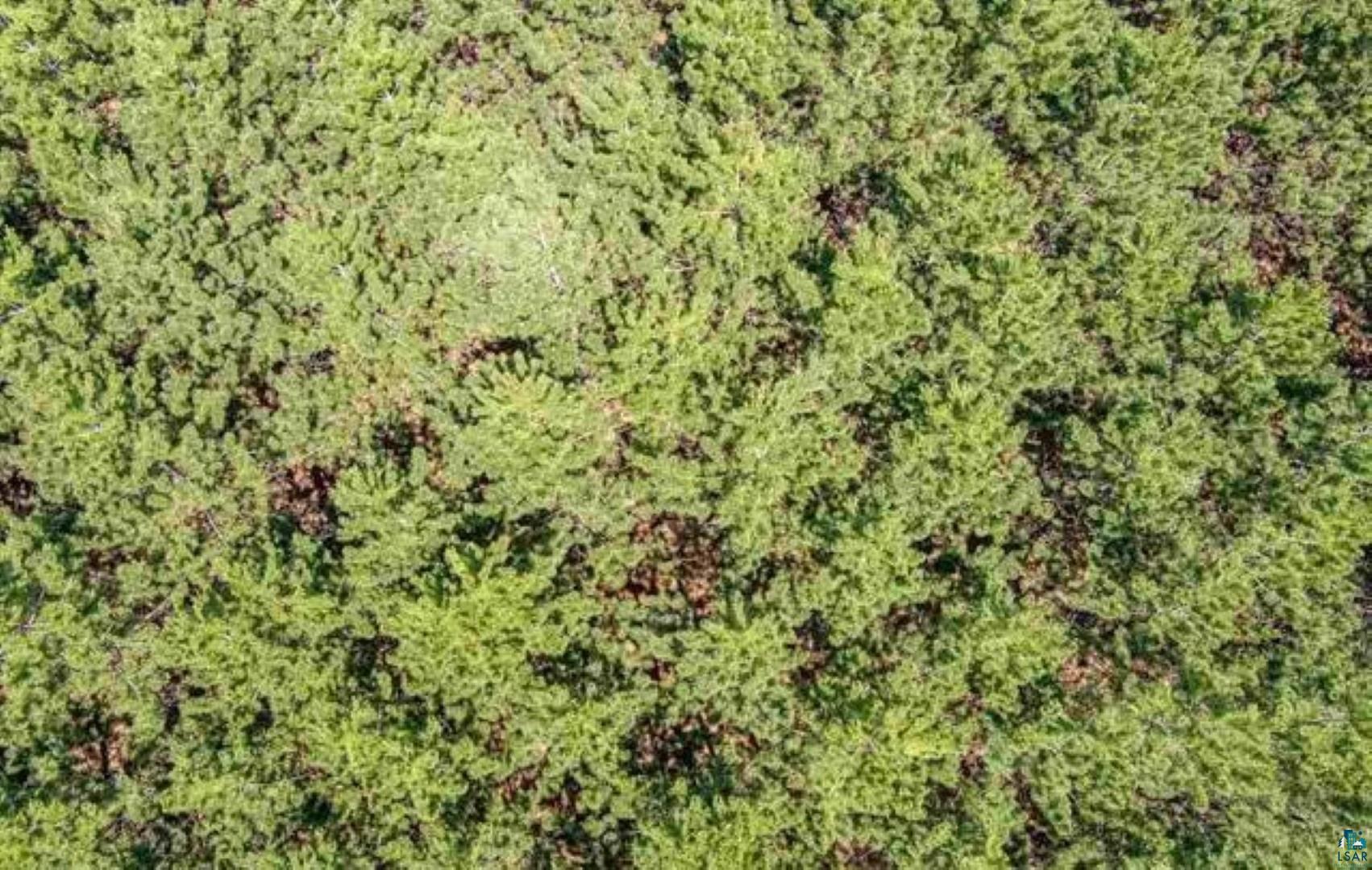 Tbd Rainey Road Hibbing, MN 55746 - Photo 29 of 32