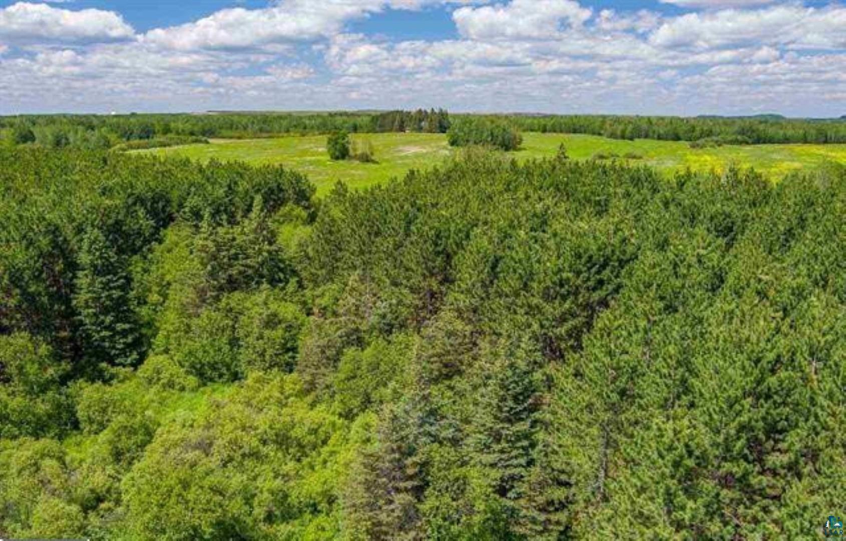 Tbd Rainey Road Hibbing, MN 55746 - Photo 3 of 32