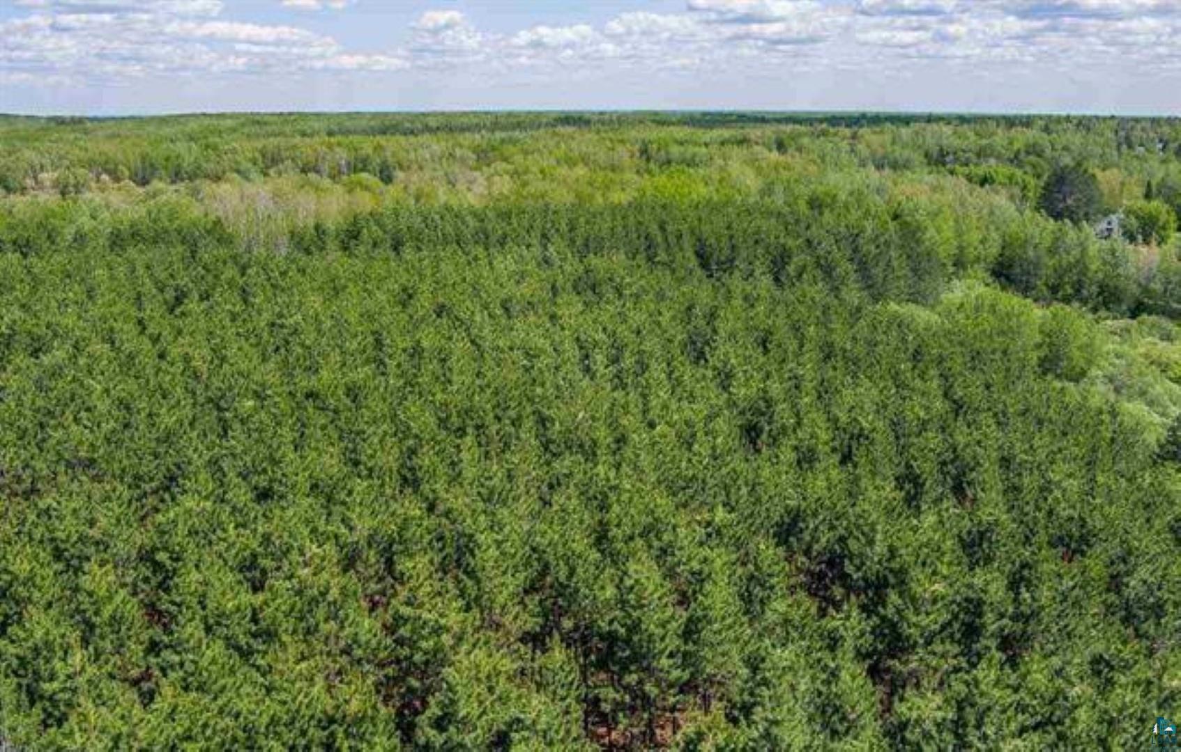 Tbd Rainey Road Hibbing, MN 55746 - Photo 5 of 32