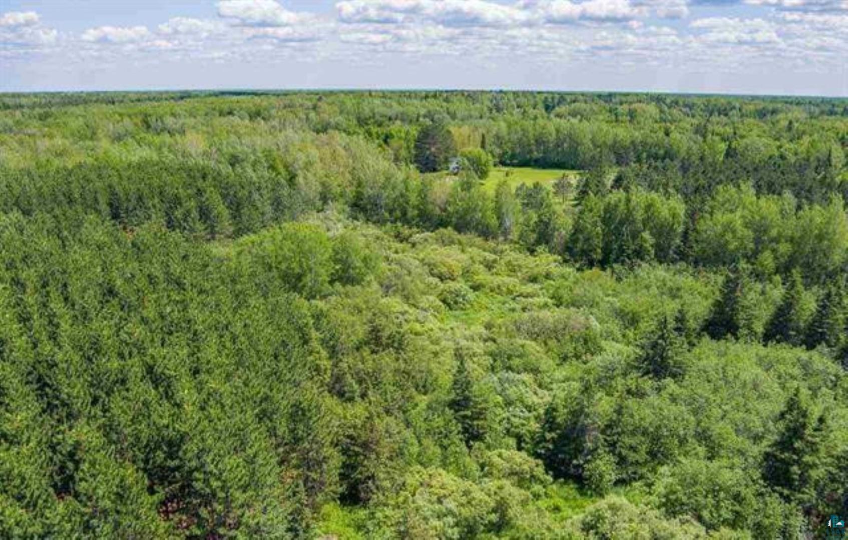 Tbd Rainey Road Hibbing, MN 55746 - Photo 6 of 32