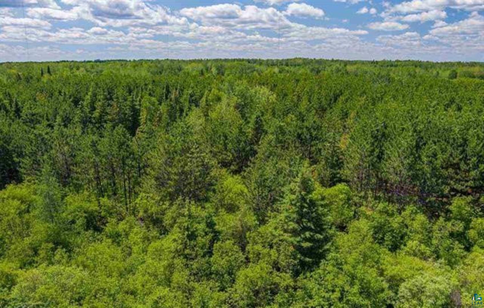 Tbd Rainey Road Hibbing, MN 55746 - Photo 7 of 32