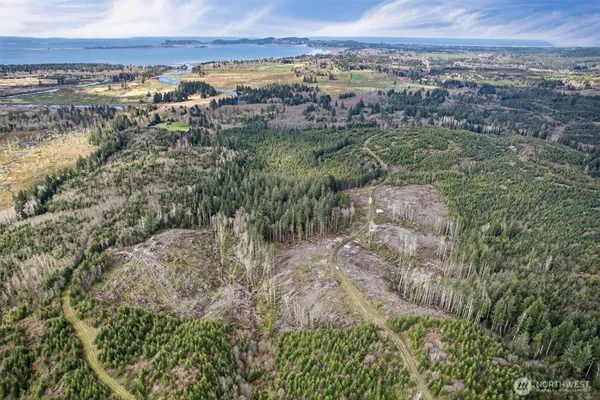 a view of a city with green field