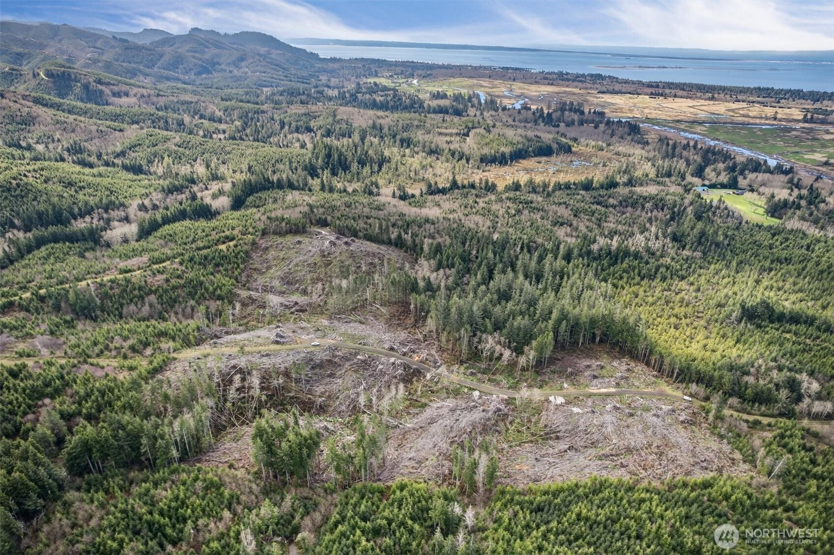 0 Chinook Valley Road Chinook, WA 98614 - Photo 11 of 11 an aerial view of forest