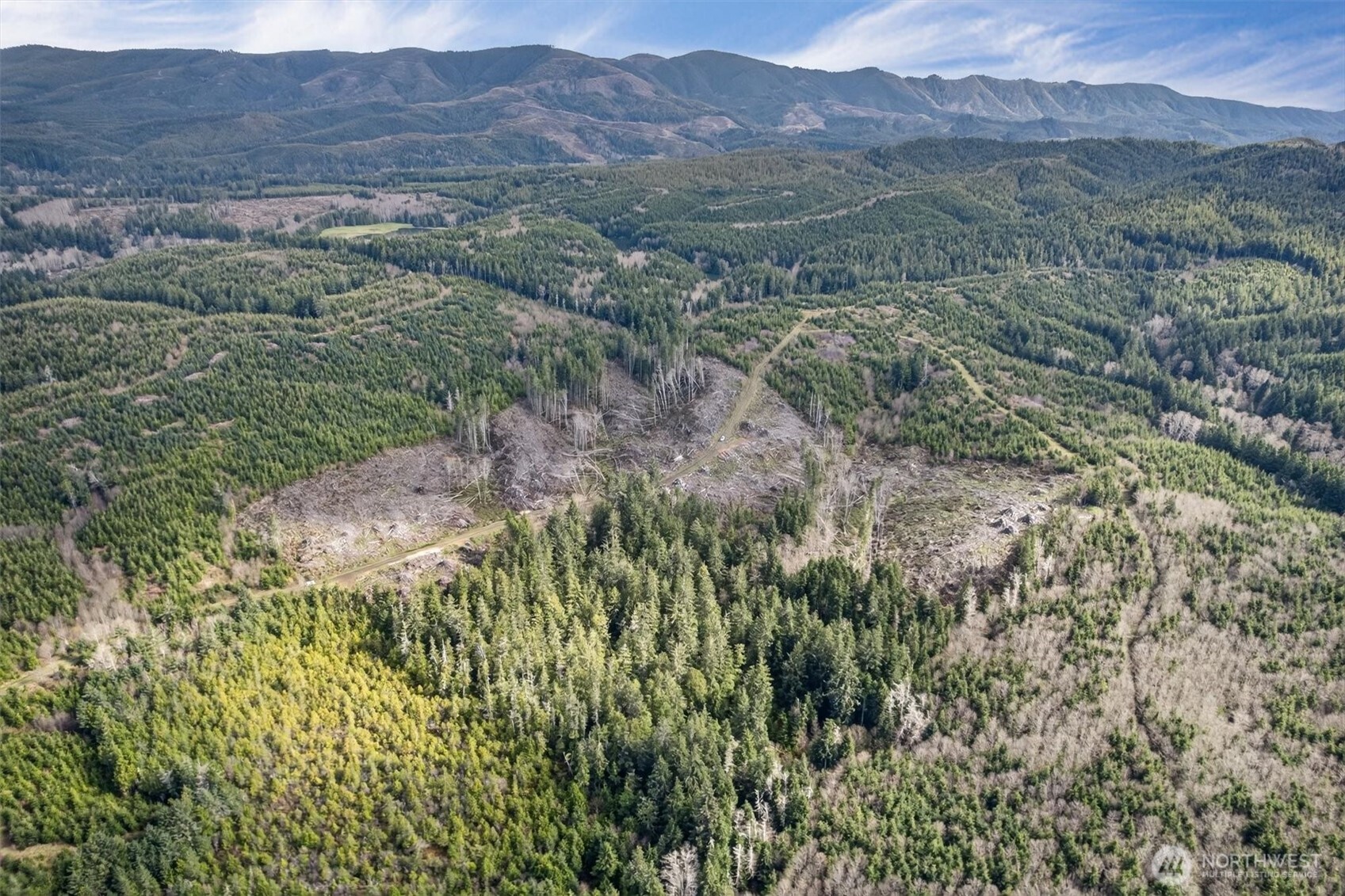0 Chinook Valley Road Chinook, WA 98614 - Photo 5 of 11 a view of a lush green field with mountains in the background