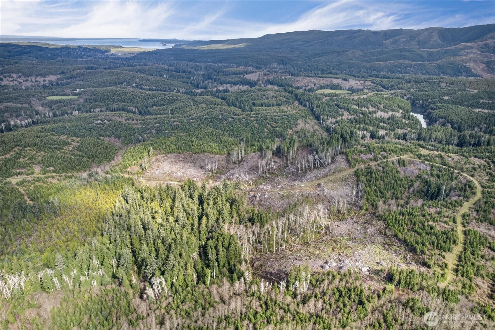 0 Chinook Valley Road Chinook, WA 98614 - Photo 6 of 11 a view of a lush green field with lots of bushes