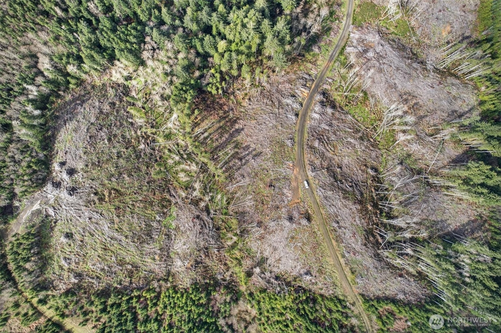 0 Chinook Valley Road Chinook, WA 98614 - Photo 8 of 11 a close up of a plant