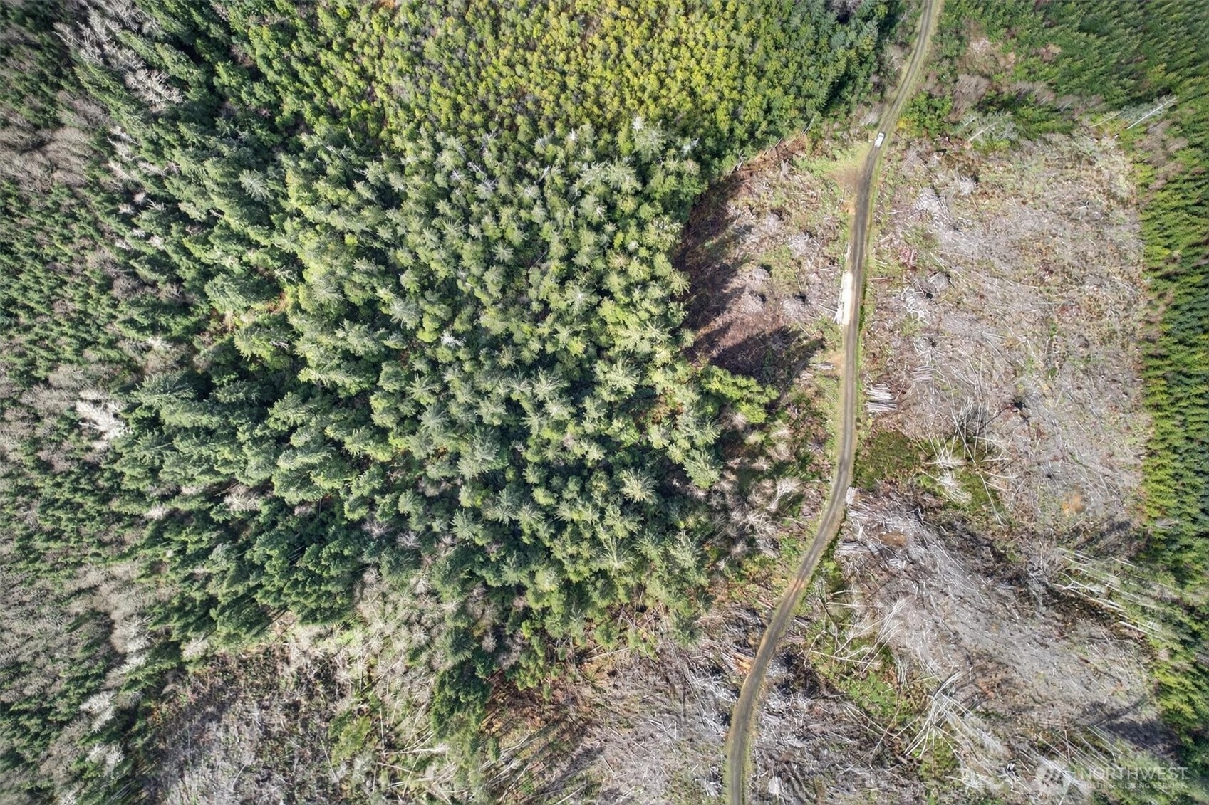 0 Chinook Valley Road Chinook, WA 98614 - Photo 9 of 11 a view of a yard