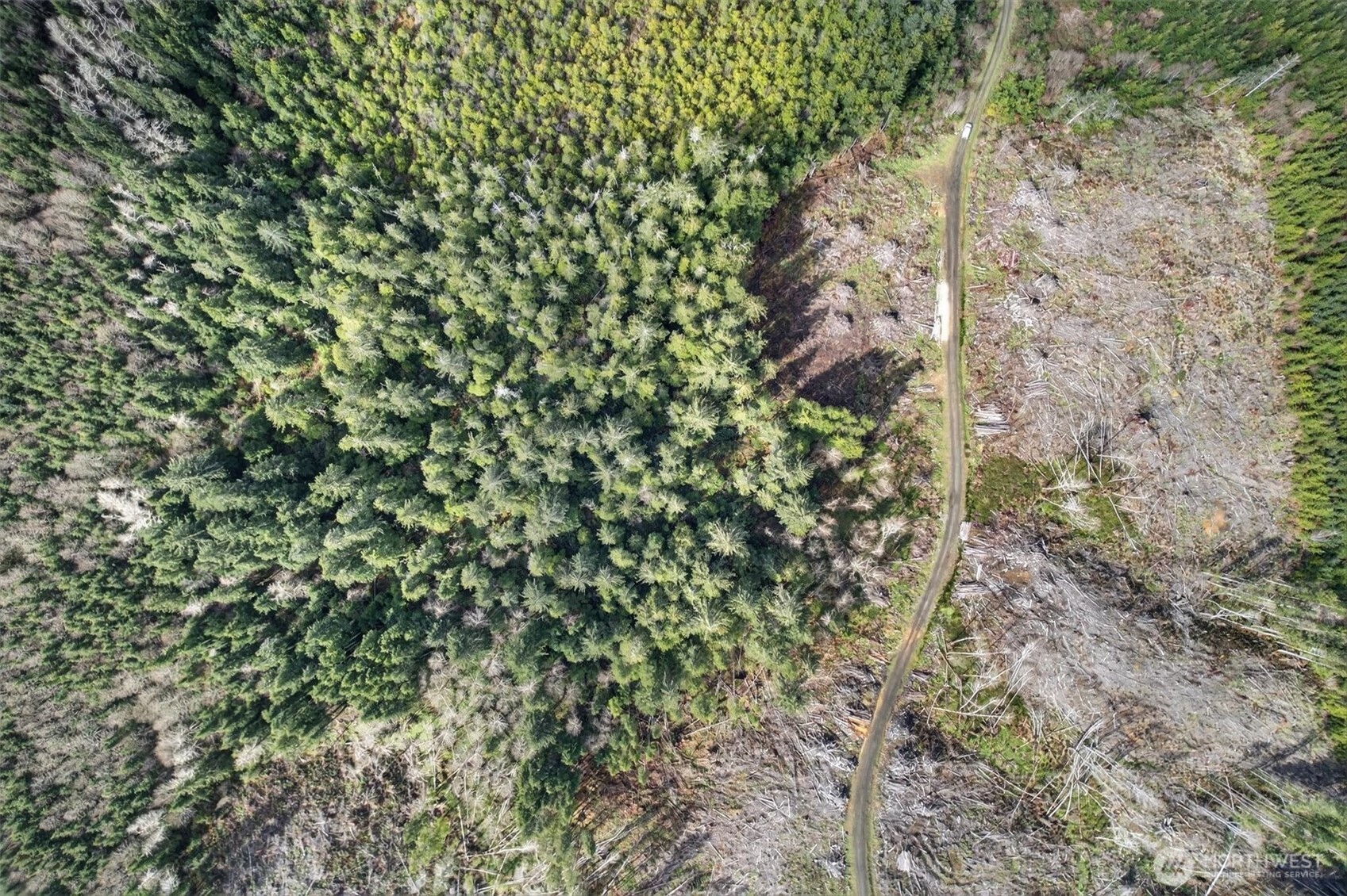 0 Chinook Valley Road Chinook, WA 98614 - Photo 10 of 11 a close up of a plant