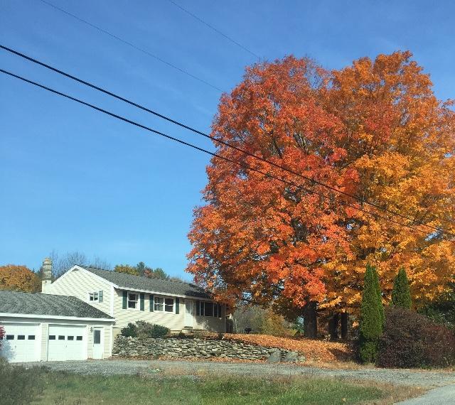 10 Purkis Road Buckfield, ME 04220 - Photo 1 of 19 Tim Hollywood2