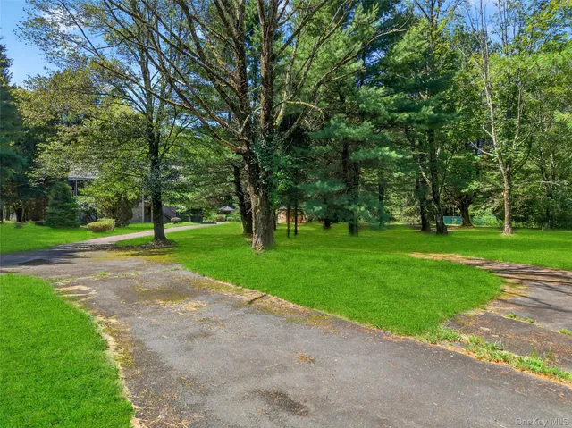 a view of a park with tree s