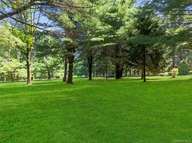 a view of park space