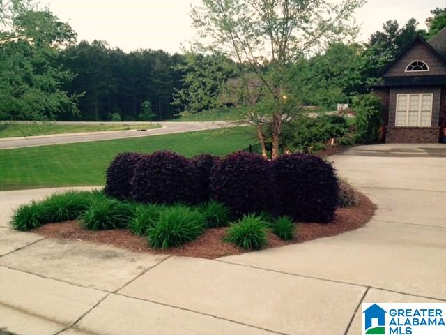 205 Hildestone Way Pell City, AL 35128 - Photo 37 of 47