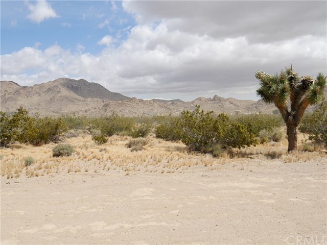 30769 Bullrush Road Lucerne Valley, CA 92356 - Photo 12 of 30