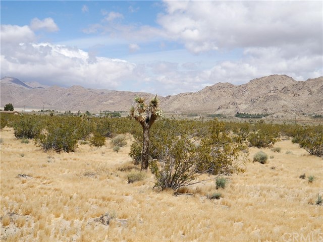 30769 Bullrush Road Lucerne Valley, CA 92356 - Photo 18 of 30