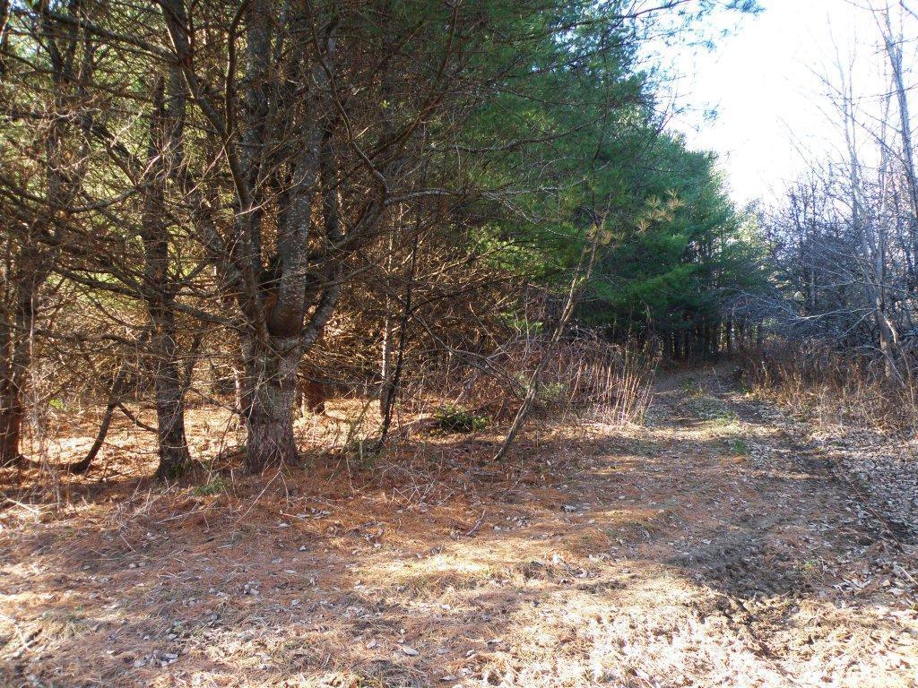 0 Us Route, Unit RT Stockton Springs, ME 04981 - Photo 16 of 18 P1010770