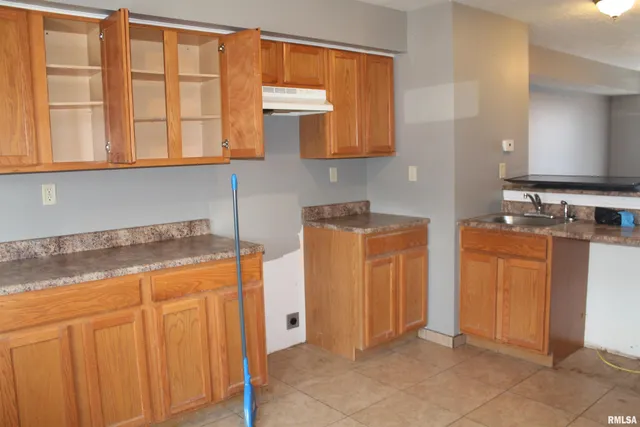 $720,000 | 405-411 East Mill Street, Unit 14, Carbondale, IL 62901