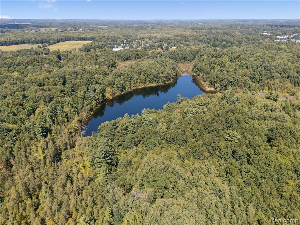 267 Barnes Lake Road Columbiaville, MI 48421 - Photo 43 of 55 Gallery Image 43