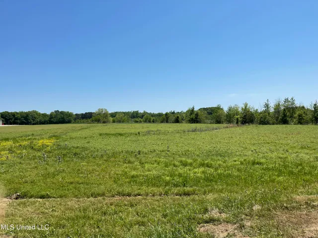 $115,000 | 811 Highway 16, Carthage, MS 39051