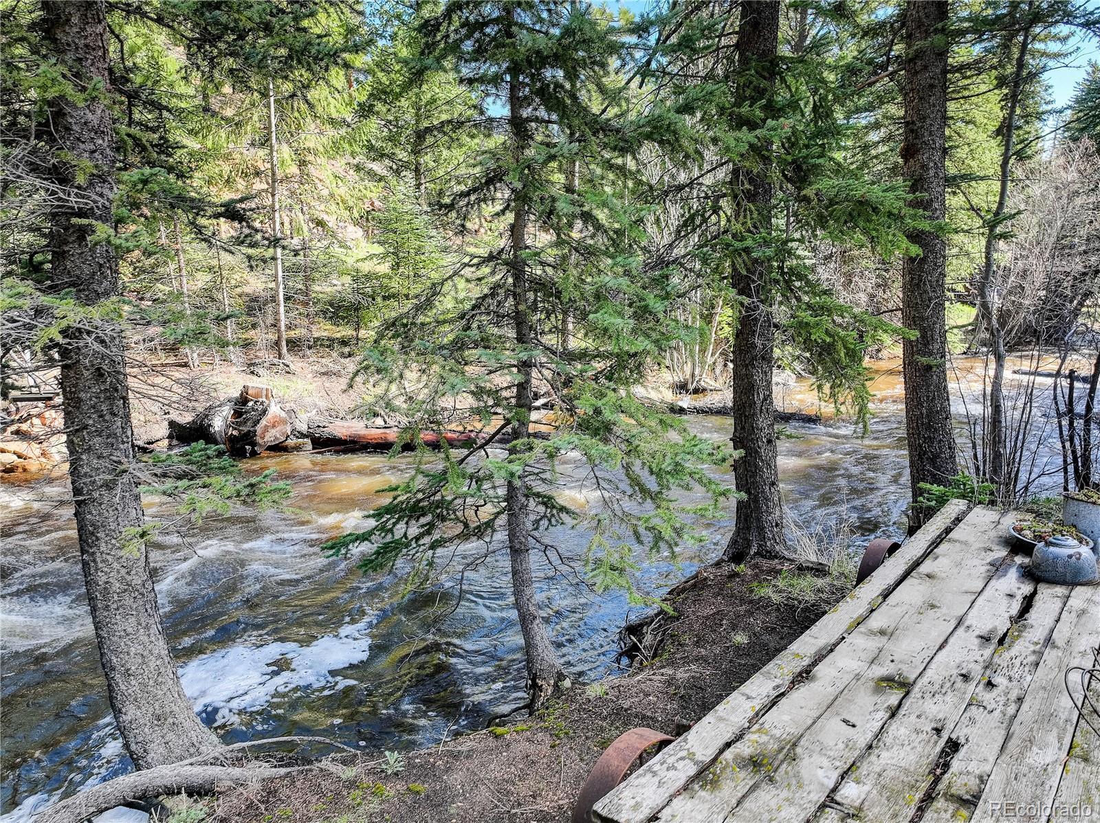 1730 Upper Bear Creek Road Evergreen, CO 80439 - Photo 12 of 40 a yard with tall trees