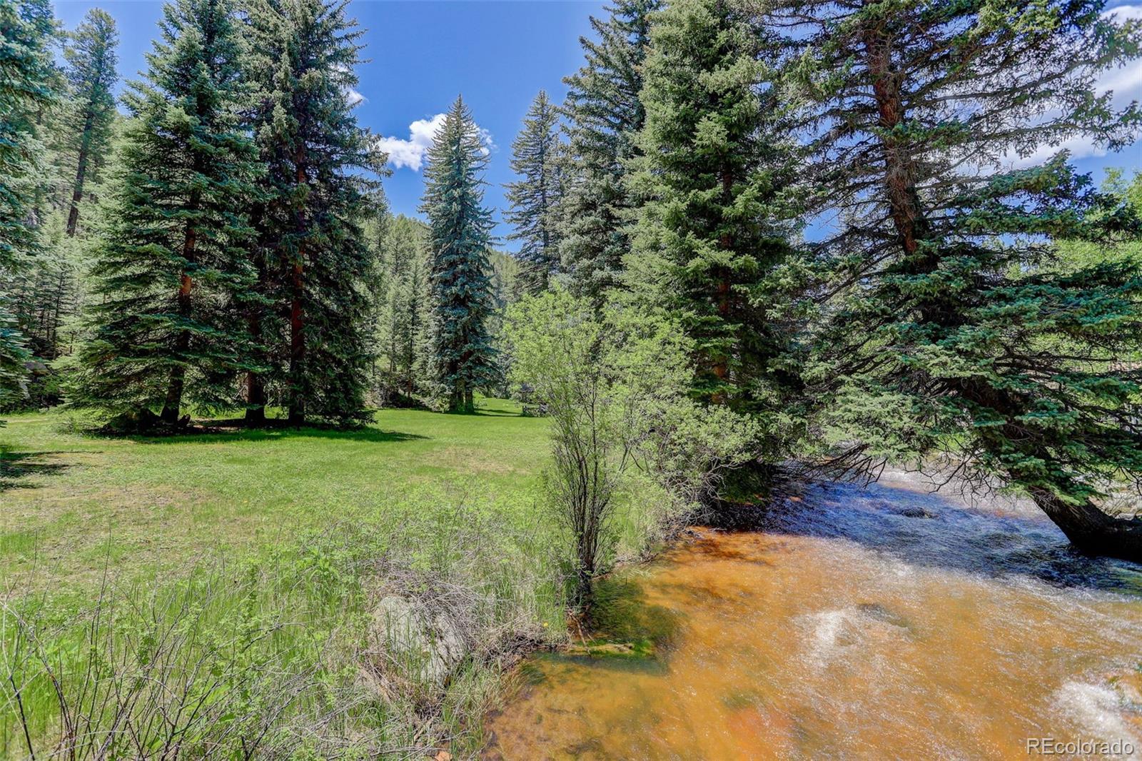 1730 Upper Bear Creek Road Evergreen, CO 80439 - Photo 14 of 40 a view of a yard with plants and trees