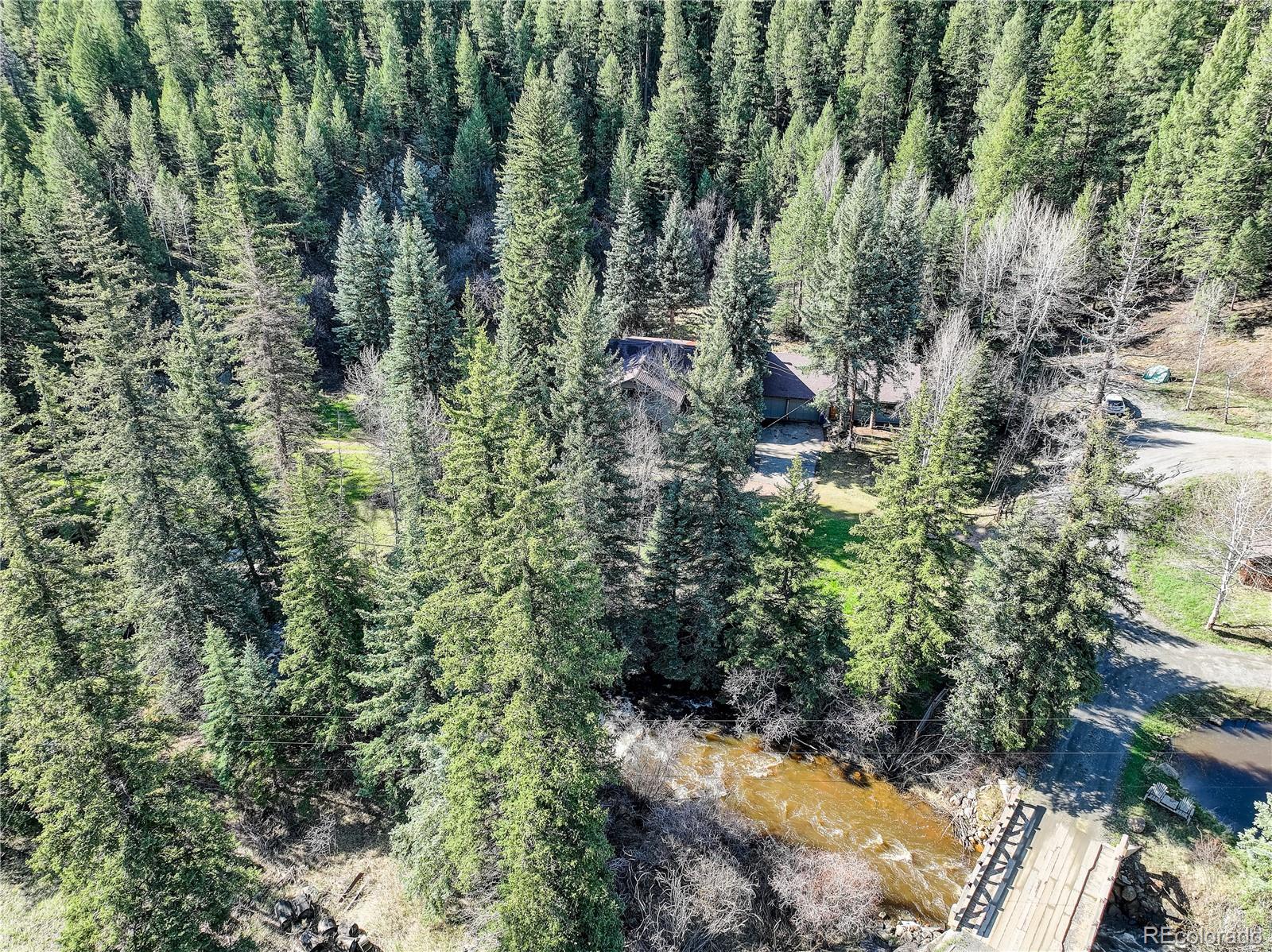 1730 Upper Bear Creek Road Evergreen, CO 80439 - Photo 32 of 40 a view of a forest with a tree