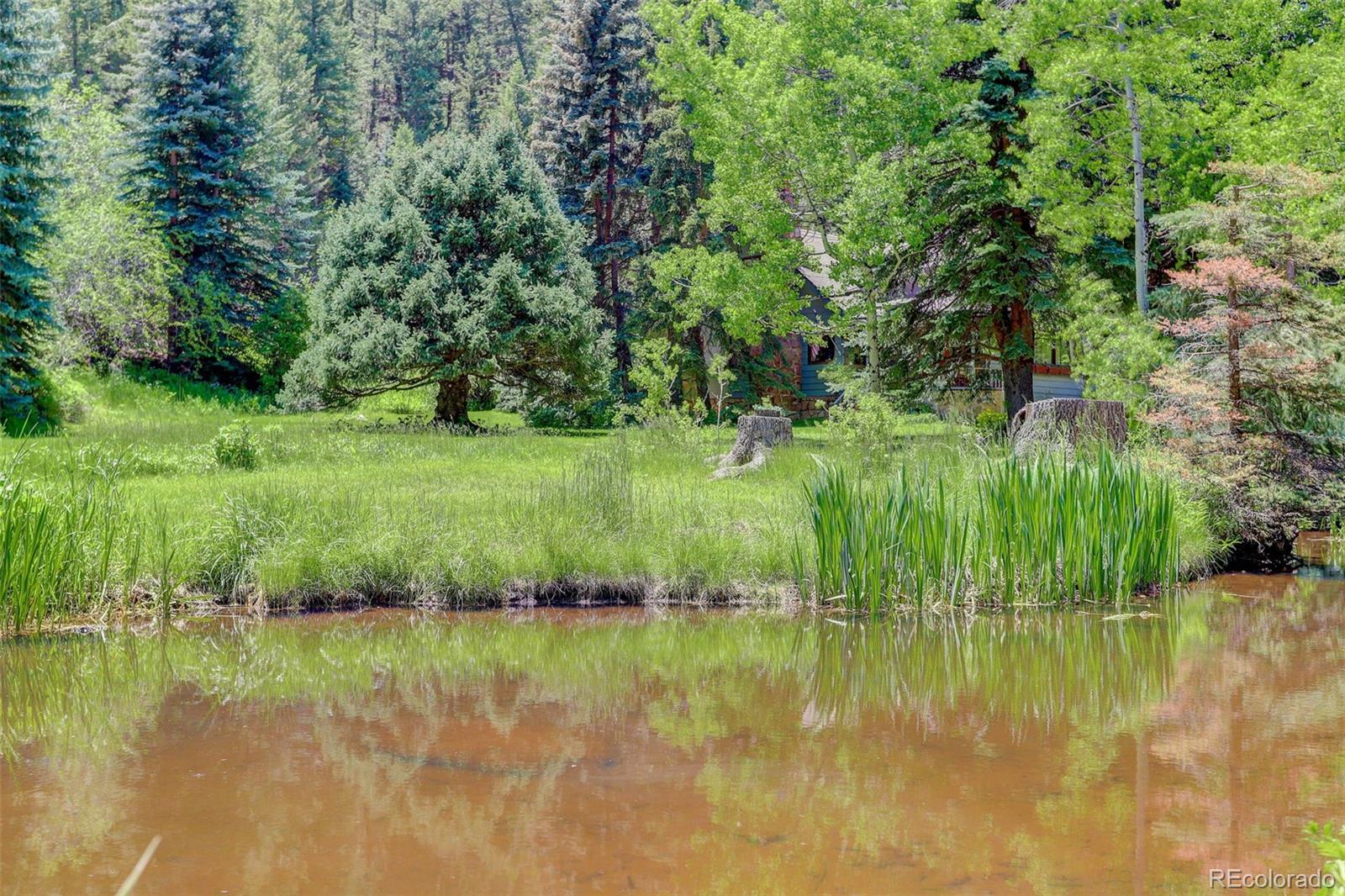 1730 Upper Bear Creek Road Evergreen, CO 80439 - Photo 39 of 40 a view of a lush green forest next to a lake
