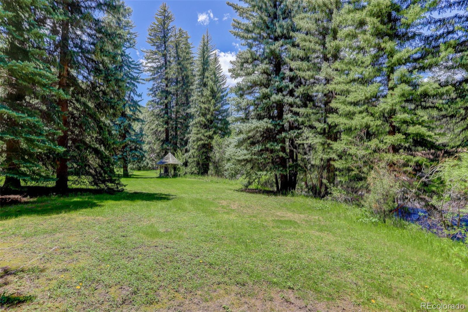1730 Upper Bear Creek Road Evergreen, CO 80439 - Photo 8 of 40 a view of a trees in a park