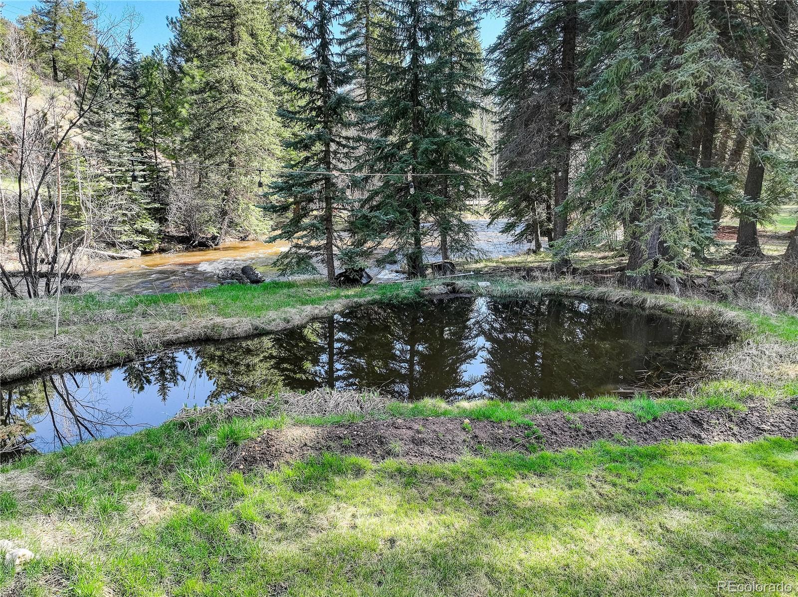 1730 Upper Bear Creek Road Evergreen, CO 80439 - Photo 10 of 40 a view of a backyard of a house with a large tree