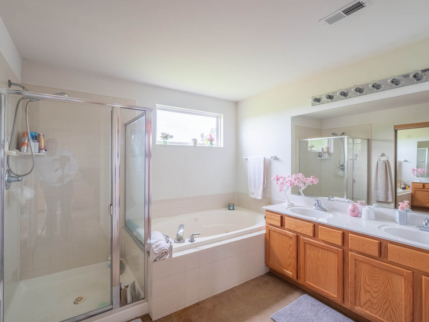 26956 West Hemlock Road Channahon, IL 60410 - Photo 11 of 17 a bathroom with a tub sink and mirror