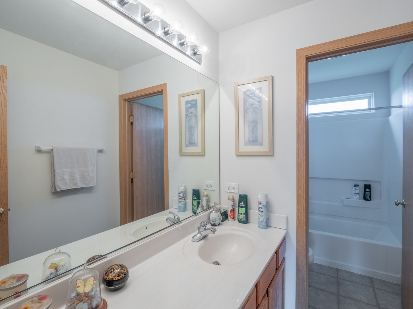 26956 West Hemlock Road Channahon, IL 60410 - Photo 15 of 17 a bathroom with a sink and a mirror