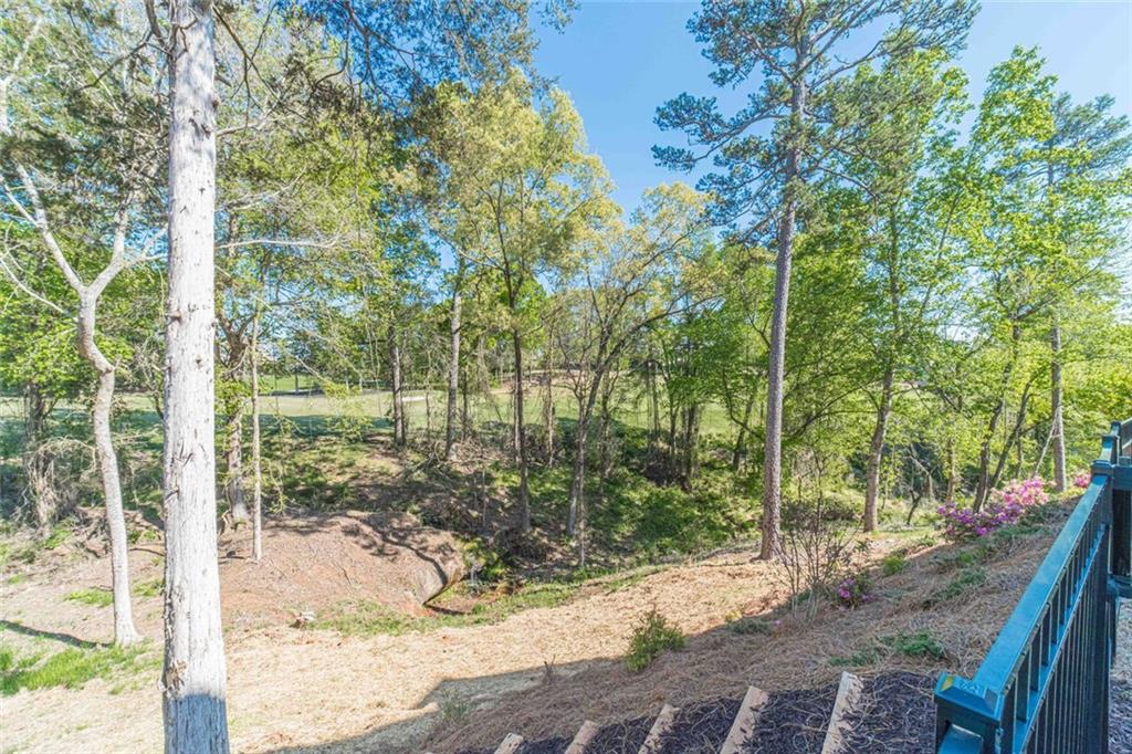 4070 Links Boulevard Jefferson, GA 30549 - Photo 3 of 46 a view of a yard with plants and large trees