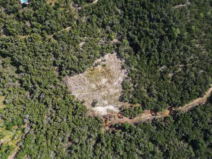 a view of a city with lush green forest