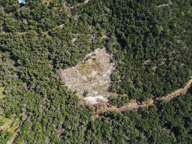 a view of a city with lush green forest