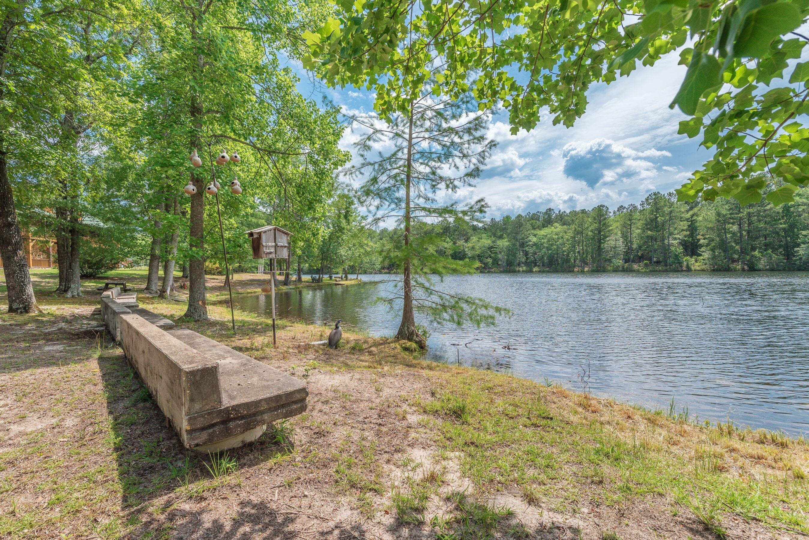 1366 Cummings Road Ridge Spring, SC 29129 - Photo 42 of 150