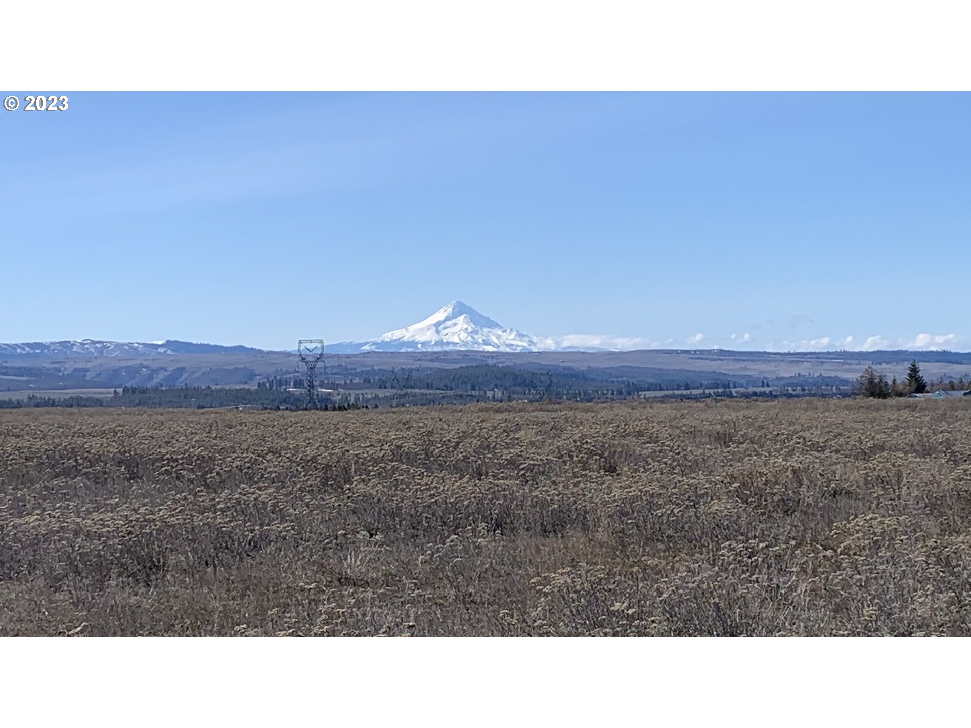 Quail Goldendale, WA 98620 - Photo 3 of 10 Gallery Image 3