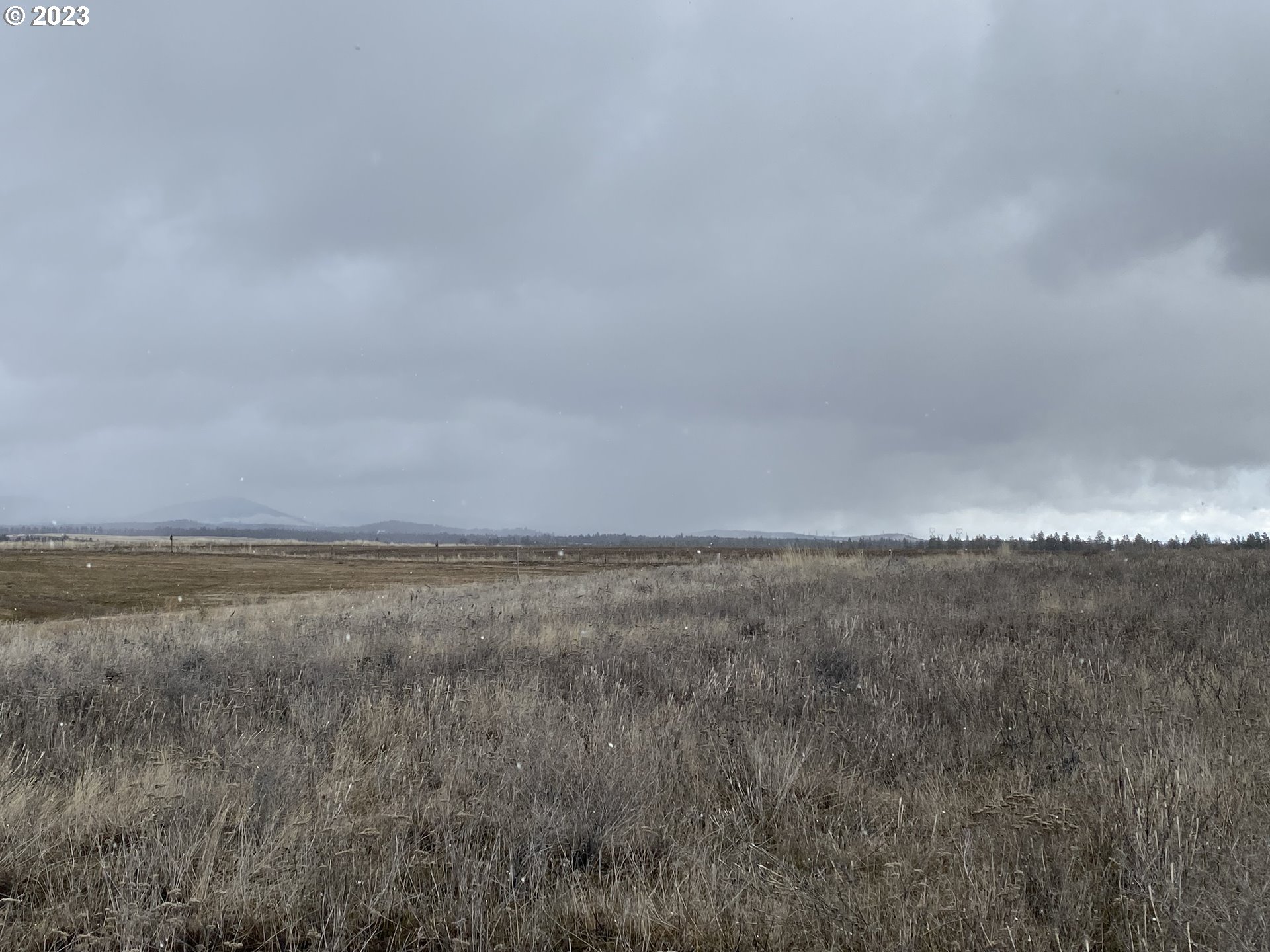 Quail Goldendale, WA 98620 - Photo 5 of 10 Gallery Image 5